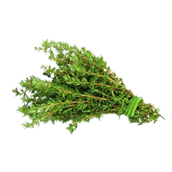 thyme-herb-250x250-removebg-preview