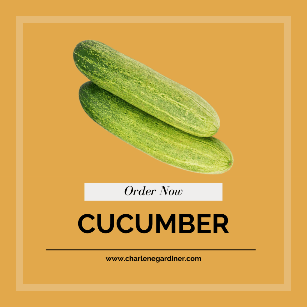cucumber