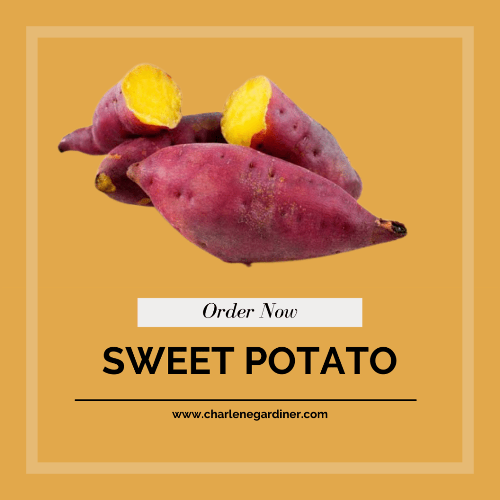 sweet potato