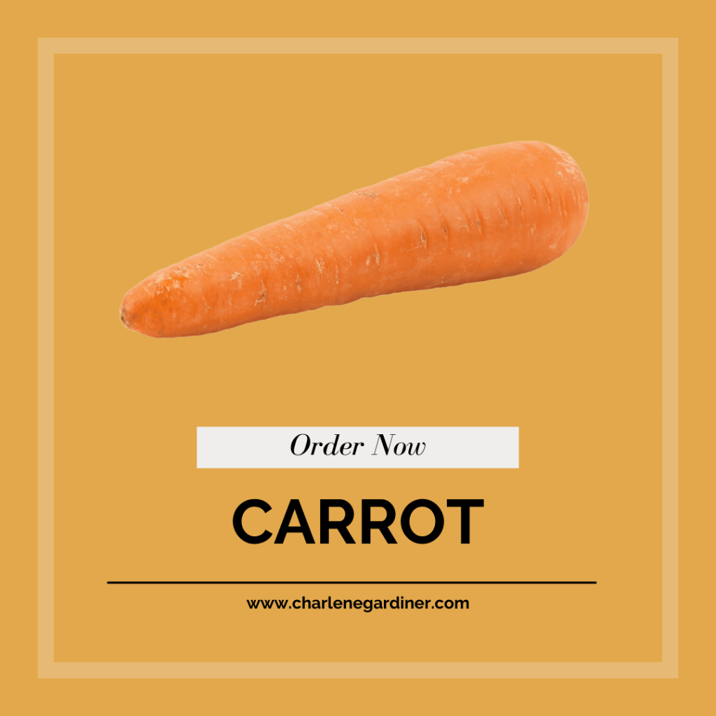 carrot