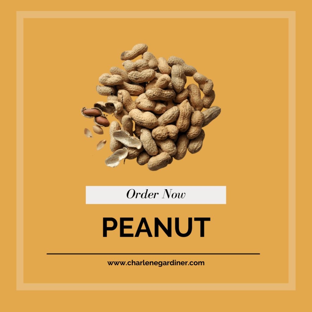 peanut