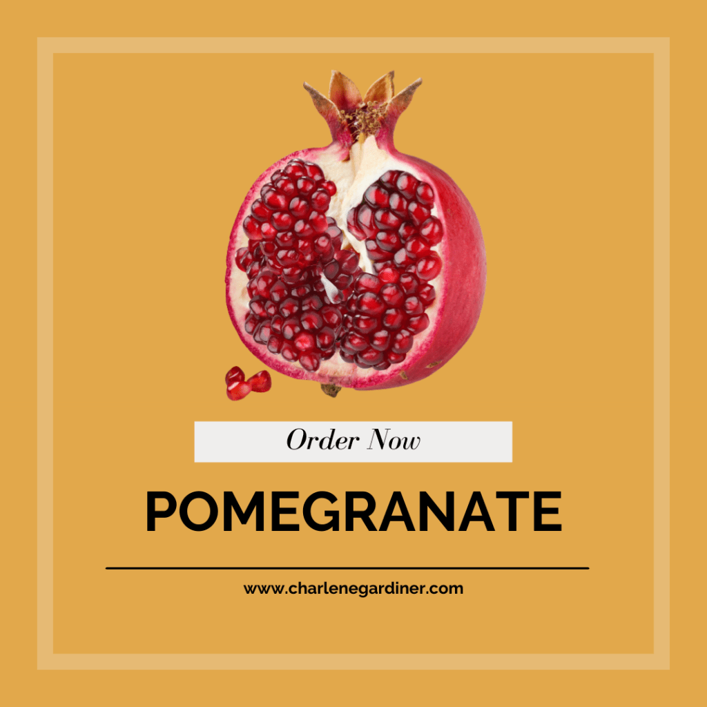 pomegranate