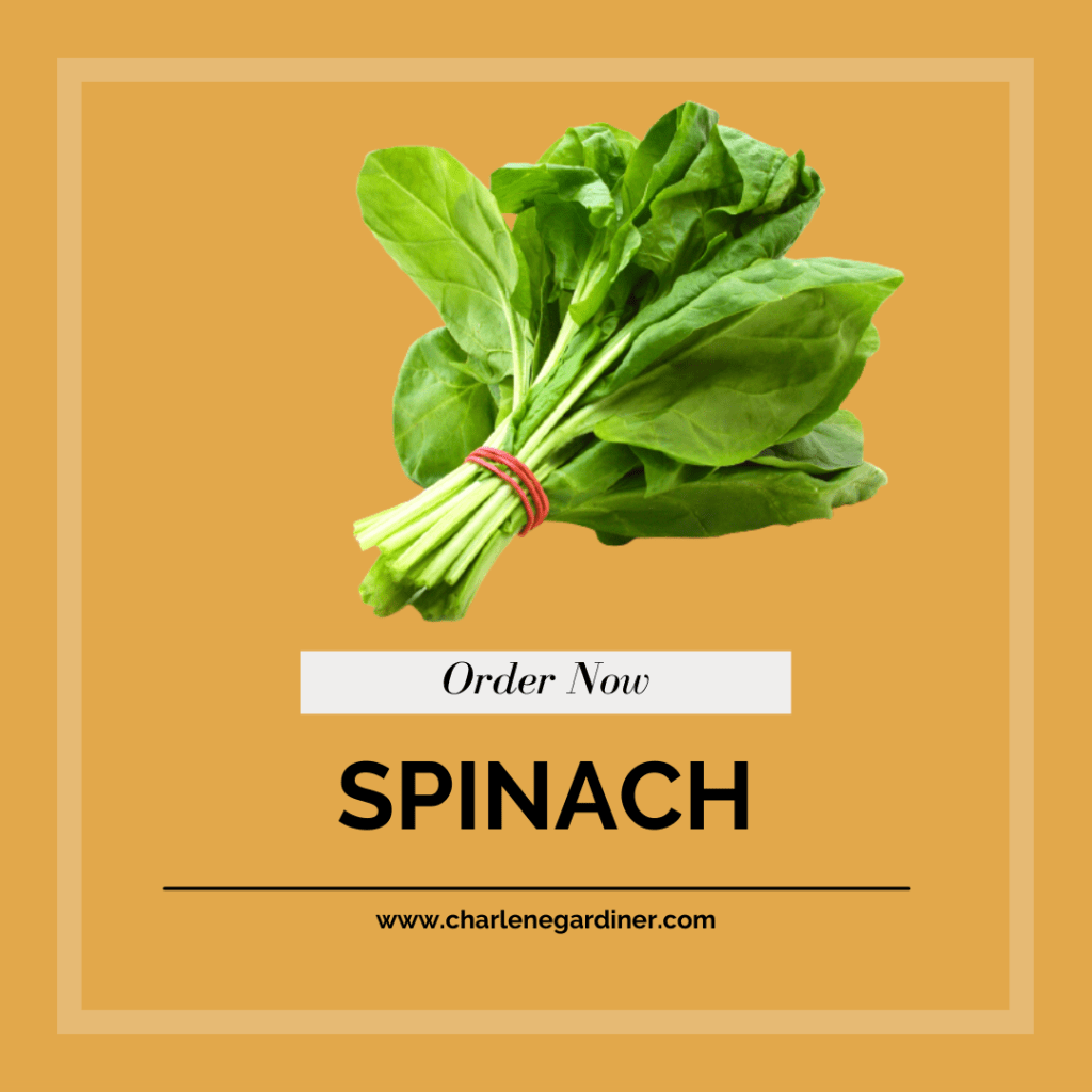 spinach