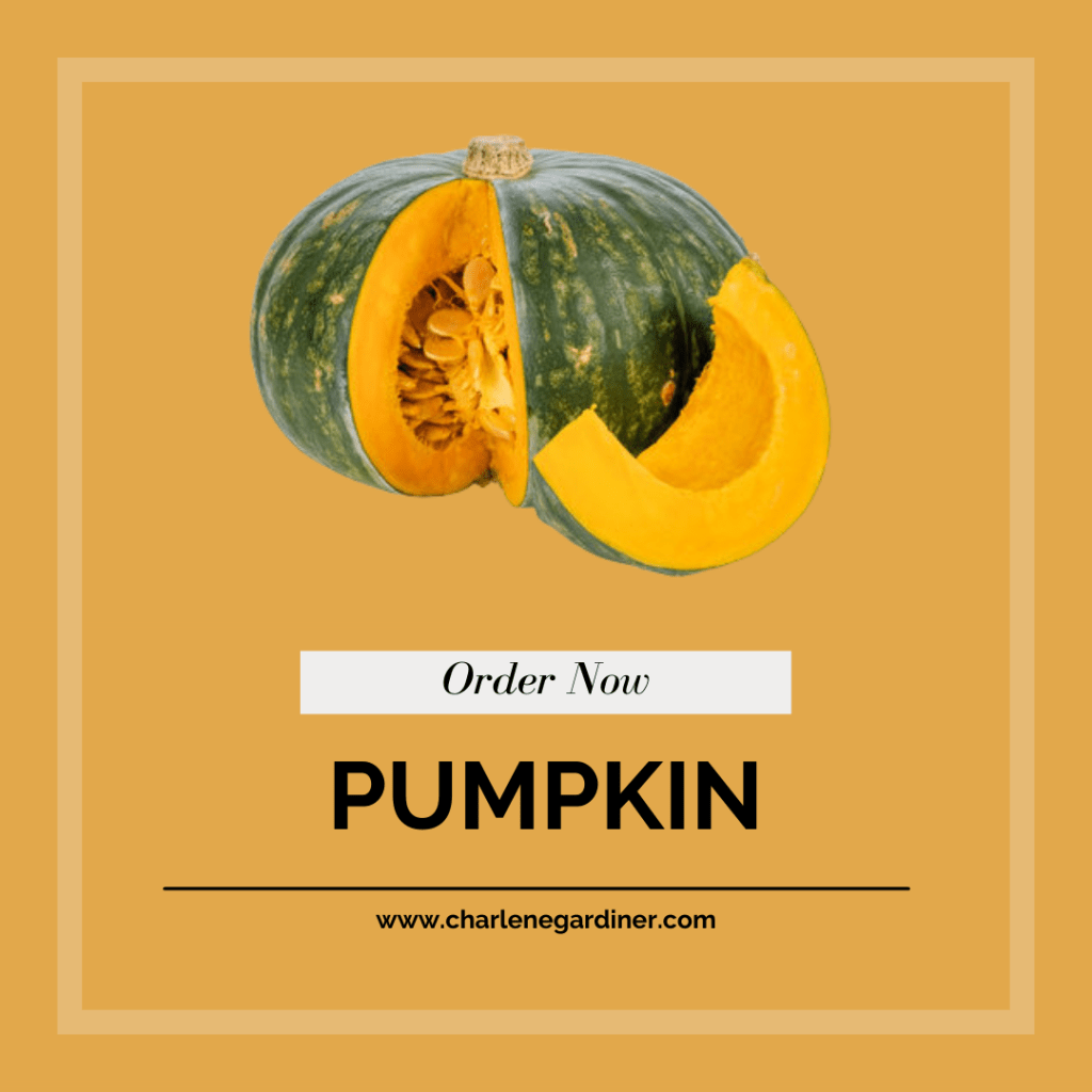 pumpkin