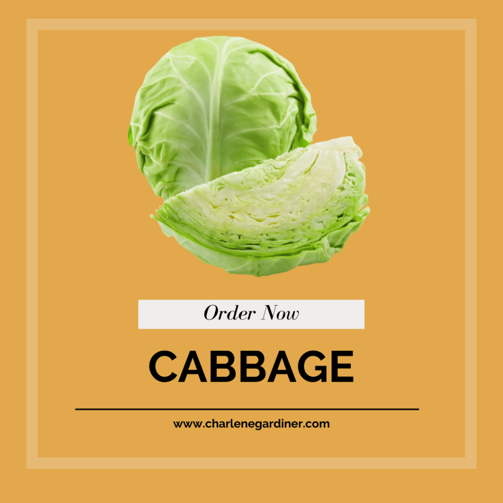 cabbage