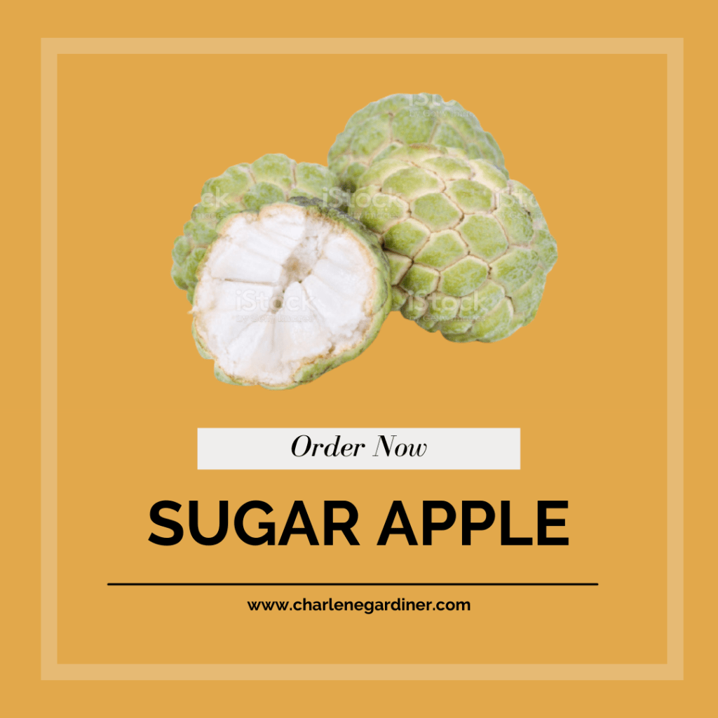 sugar apple