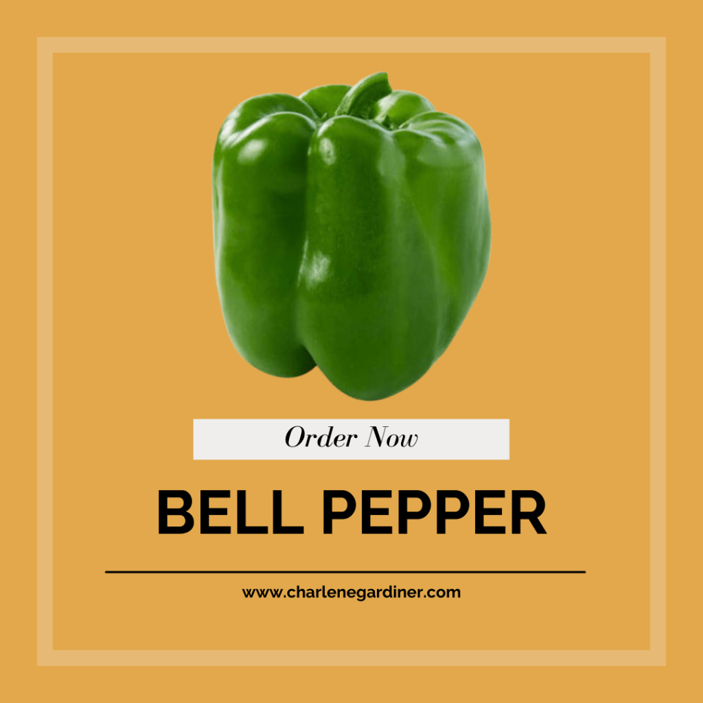 sweet bell pepper