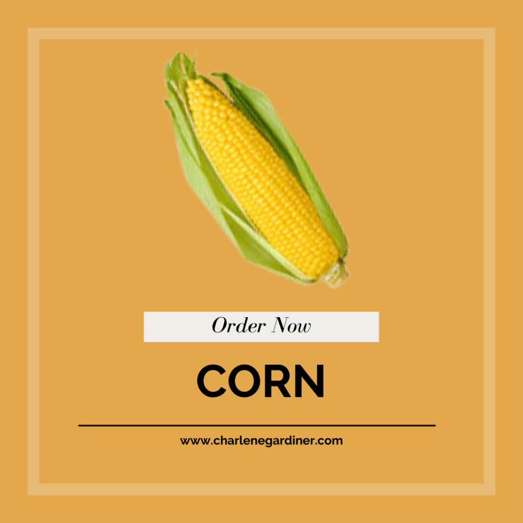 corn