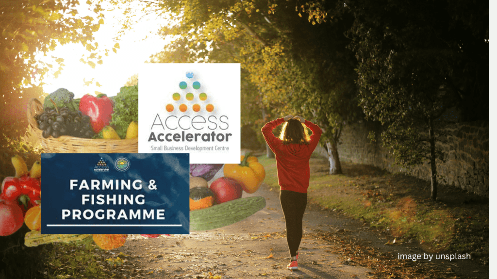 Access Accelerator SBDC Bahamas