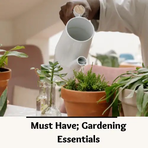 Garden essentials