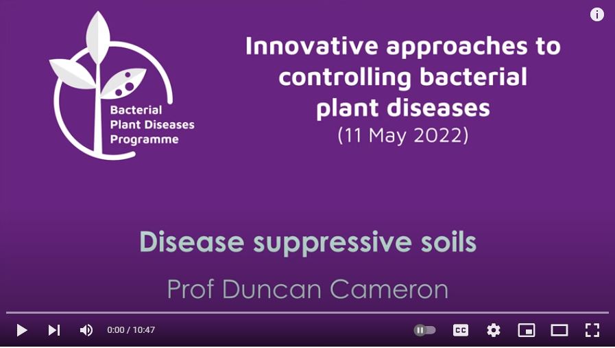 Disease suppressive soils | Duncan Cameron
