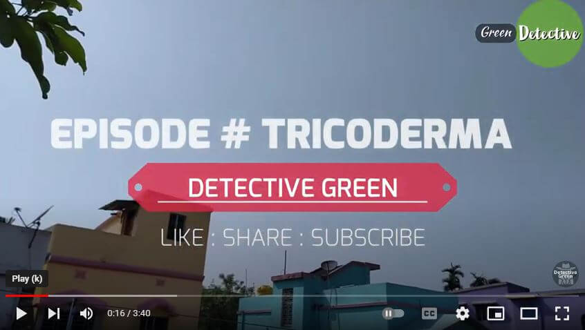tricoderma