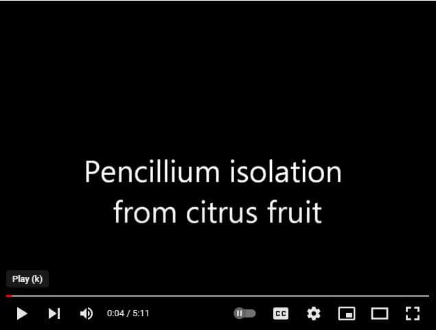 video