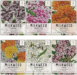 Milkweed Seed Packet Collection   -Image; Amazon Garden Essentials Must Haves For Every Gardener https://www.charlenegardiner.com