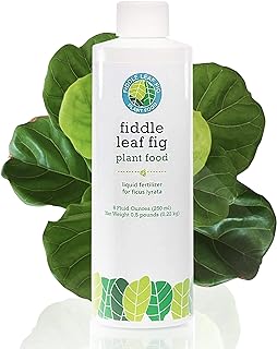 Fiddle Leaf Fig Tree Plant Food for Ficus Lyrata (and Ficus Audrey) - Organic,   -Image; Amazon Garden Essentials Must Haves For Every Gardener https://www.charlenegardiner.com