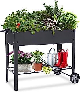 Raised Planter Box   -Image; Amazon Garden Essentials Must Haves For Every Gardener https://www.charlenegardiner.com