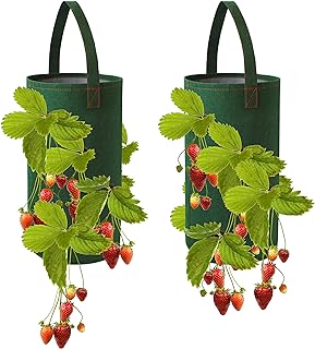Hanging Strawberry Planter for Strawberry Bare Root Plants  -Image; Amazon Garden Essentials Must Haves For Every Gardener https://www.charlenegardiner.com
