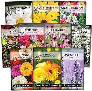 Flower Seed Collection , -Image; Amazon Garden Essentials Must Haves For Every Gardener https://www.charlenegardiner.com  