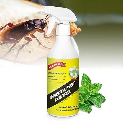 Pest Control