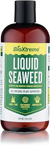 Seaweed for plants