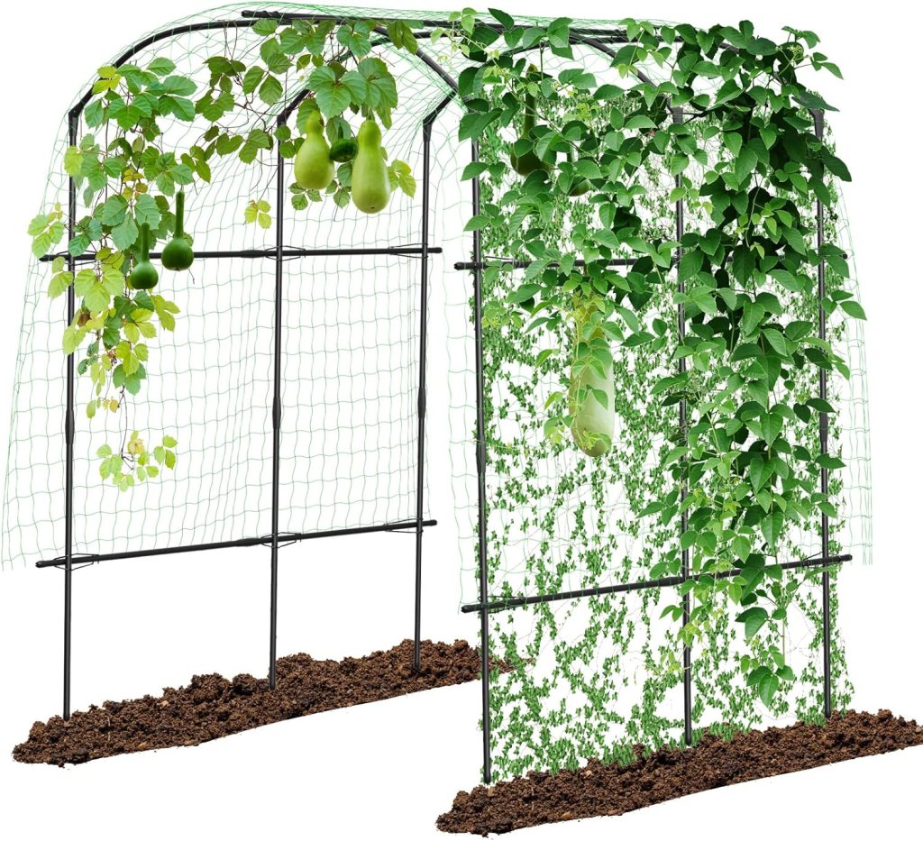Trellis