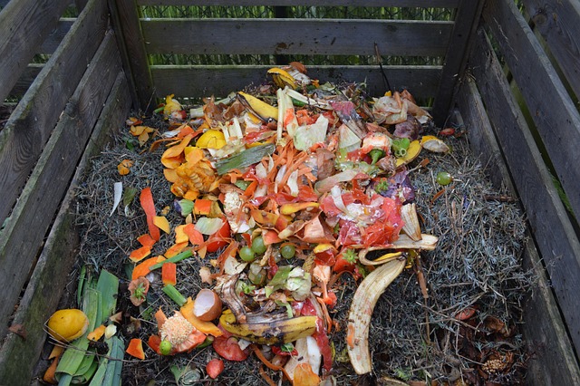 A compost pile containing various vegetable scraps and organic matter, surrounded by wooden walls.