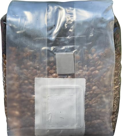 Mushroom starter kit